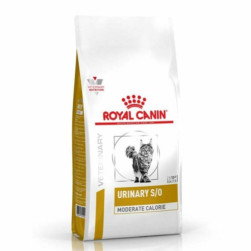 Royal canin cat - royal,