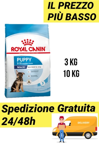Croccantini royal canin maxi - royal,
