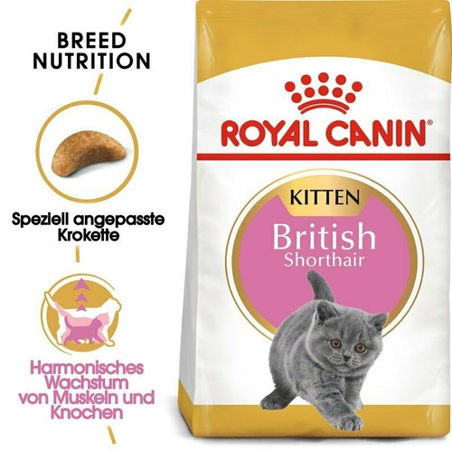 Royal canin kitten british - canin,