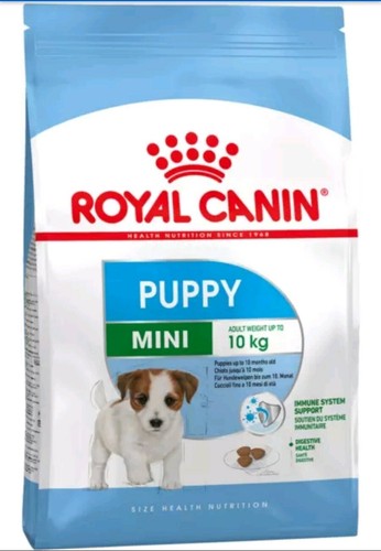 Mini puppy royal - 8, kg