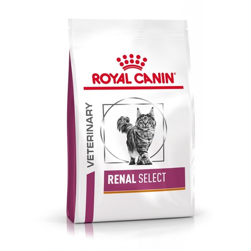 Royal canin dieta gatto - 1,