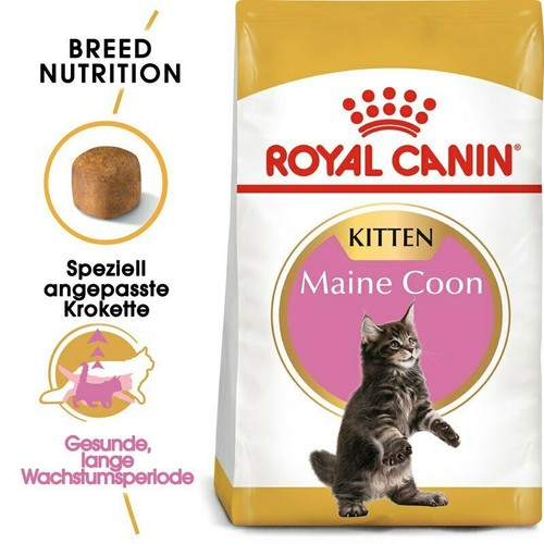 Royal canin maine coon kitten - royal,