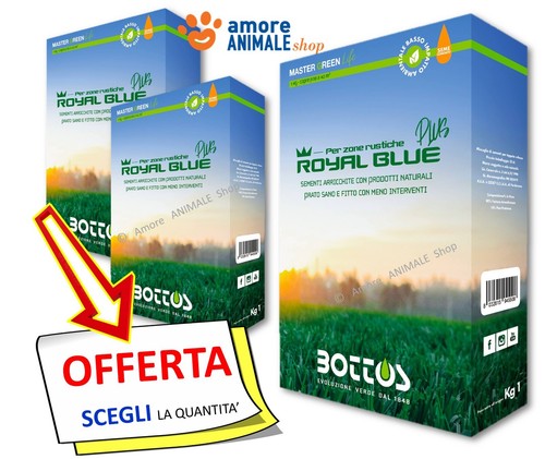 Bottos royal blue plus - royal,