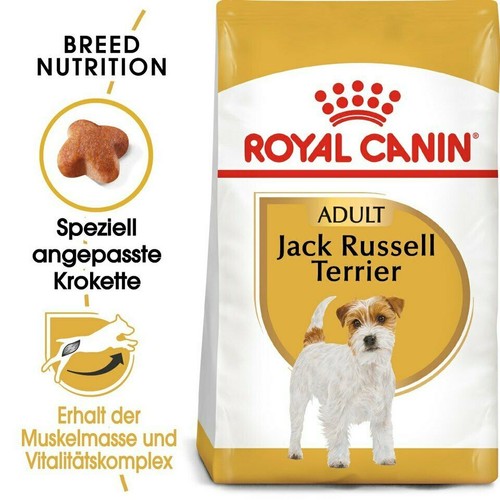 Royal canin jack - canin, russell